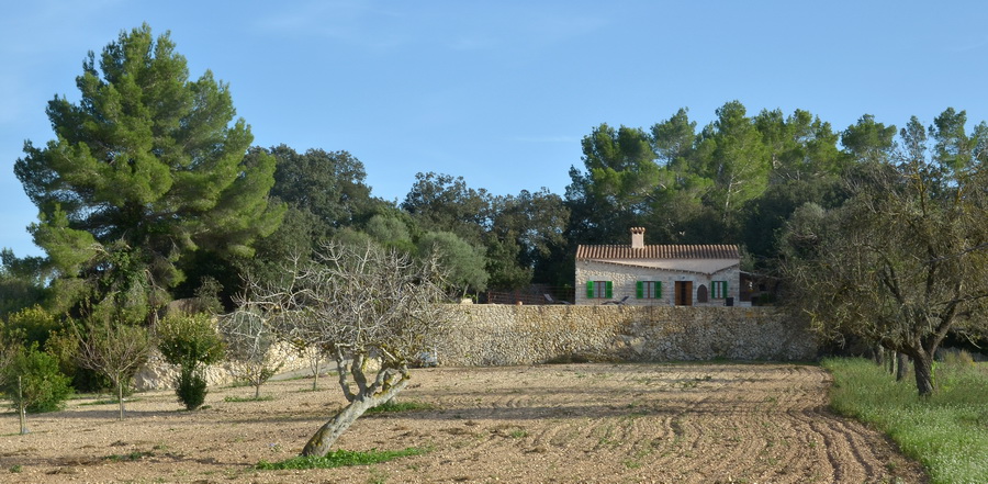 Finca be Sineu