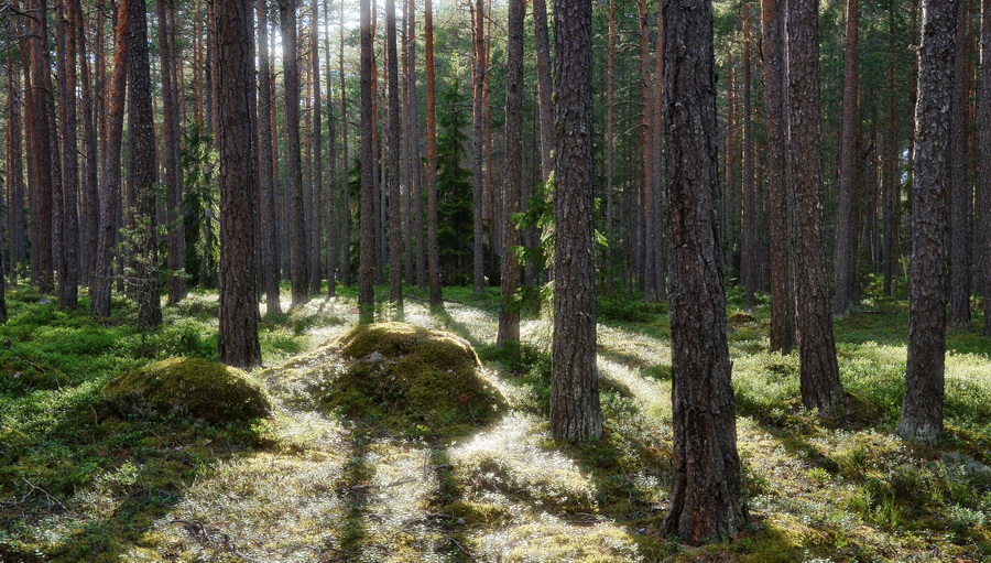 Estland