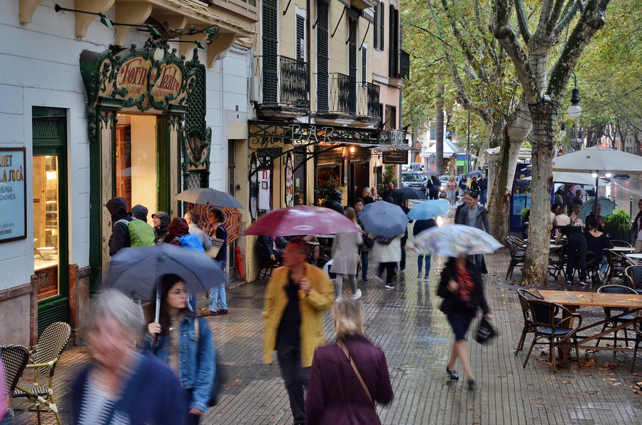 palma