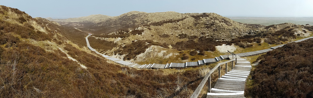 sylt