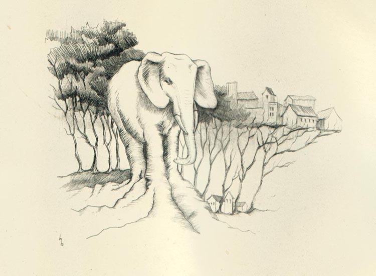 elefantengewächs